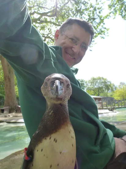 Martin Franklin with Humboldt Penguin