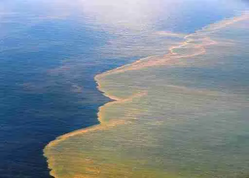 Penguin oil spill