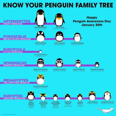 Etymology, Penguins, Names, penguin species, scientific names, taxonomy, birds, latin