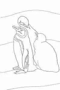 Coloring page of three penguins.