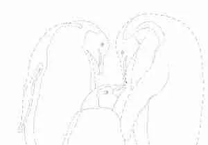 Coloring page of Emperor Penguin parents and chick.