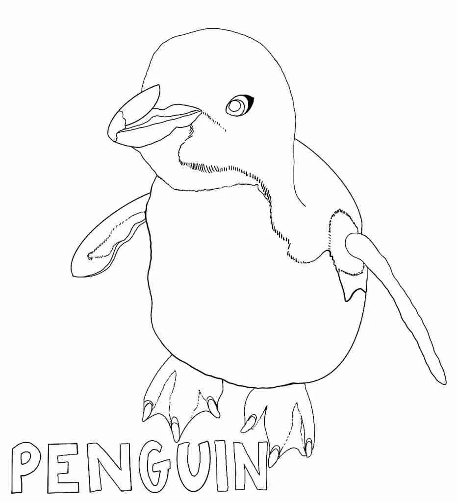Penguin Coloring Page 7 | Penguins International
