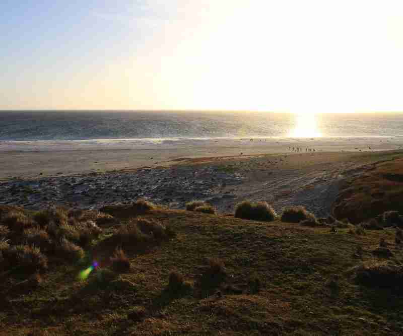 Photograph of a beach with the sun about to set. In the horizon of the photo, you can just barely see a few penguins on the beach.