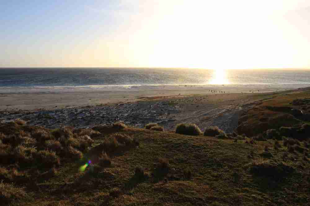 Photograph of a beach with the sun about to set. In the horizon of the photo, you can just barely see a few penguins on the beach.
