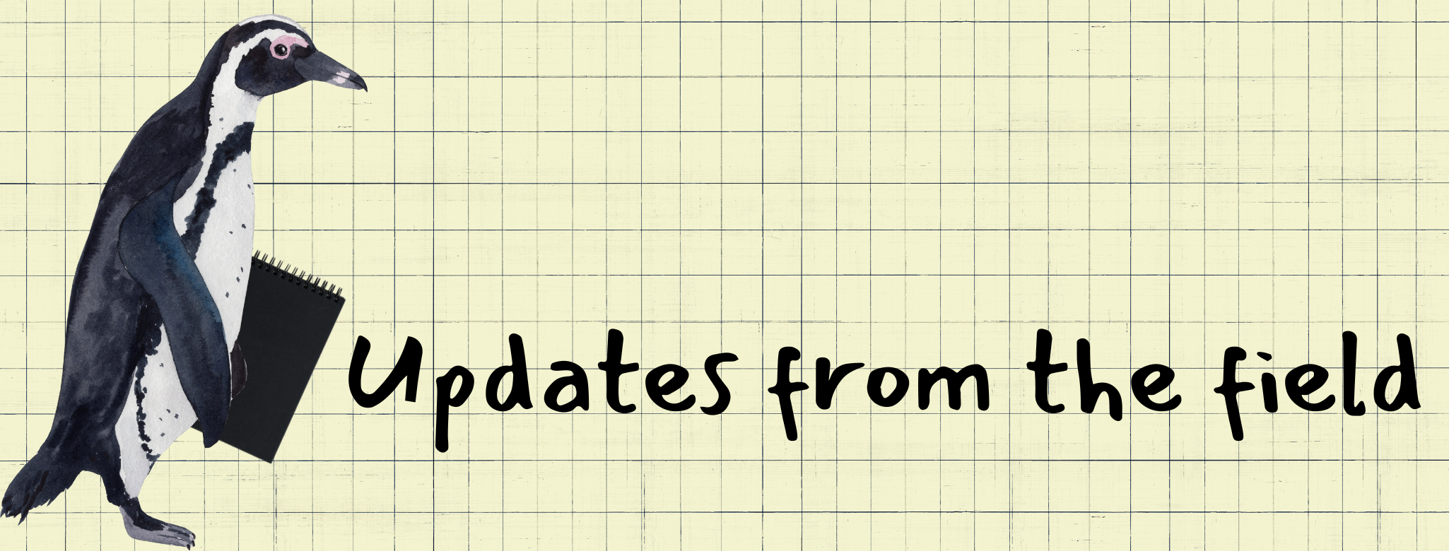 Updates from the field border image with African Penguin and a noebook.